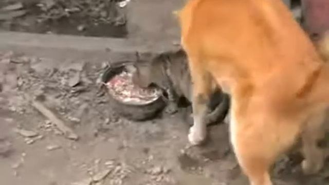 С ума можно сойти