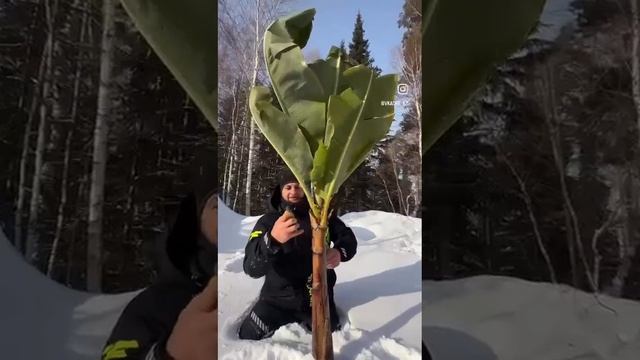 VID-20250219-WA0248