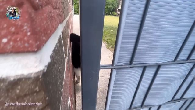 хвастаюсь террасой 🤪/готовлю тушёную картошку с фрикадельками😋😊/жизнь в Германии/Июнь 2023