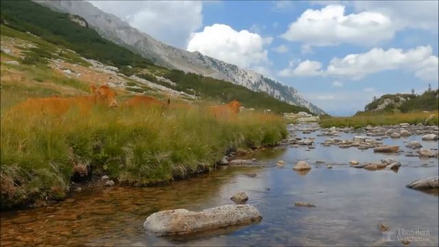 Аман saxur mahnisi😍.цахурские песни..