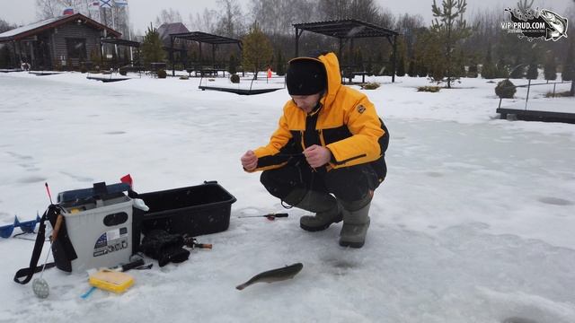 Самая обычная ловля форели 23.02.20