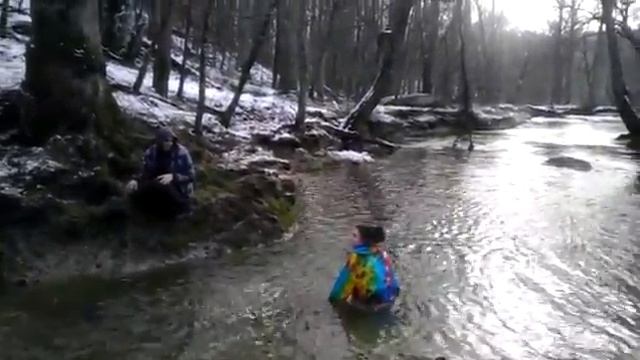 окунулась в пруд