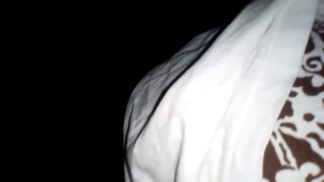 10 самых лучших приколов про кошек и собак
