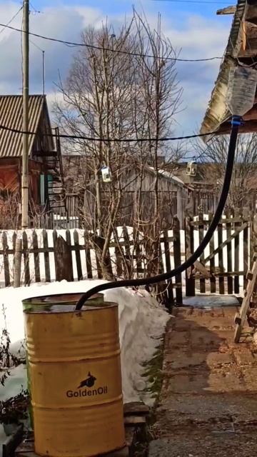 ЗВУКИ ВЕСНЫ!! #природа #птицы #весна