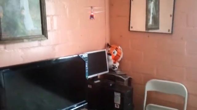 mi  elicoptero angelina   S111G !!!!