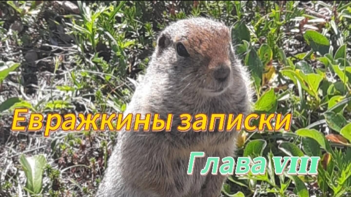 Евражкины записки. Глава VIII