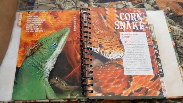 Extreme Pets- Best Animal Book For Kids?
