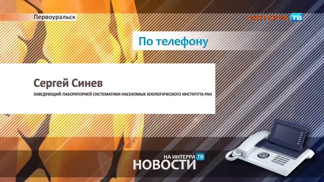 Моль СХ 2 30 07 14