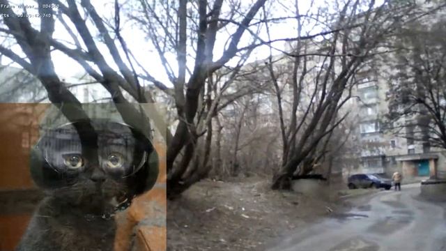 двор