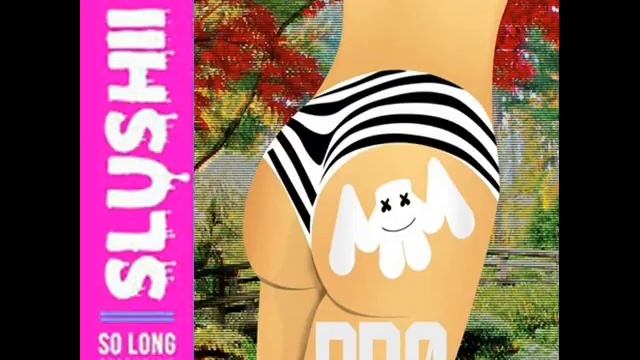 Pr0 Long Marshmello & Shushii (BipterMash remake)