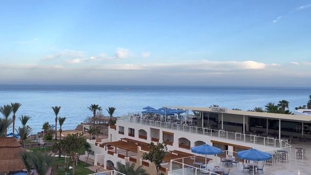 Egypt 2022. Hotel Albatros Royal Grand. Sharm el Sheikh. Египет. Шарм эль Шейх.
