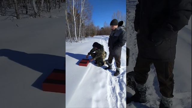 Чайный сервиз в зимнем лесу