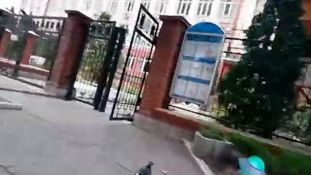 Оперативное видео от ТВ Фокус. Улица Жилянская. Киев. Украина. 2019.