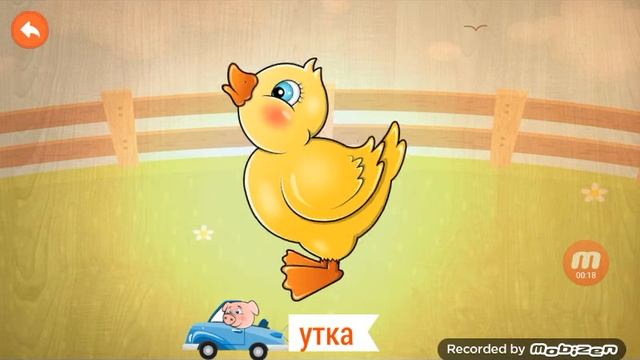 12. Утка!