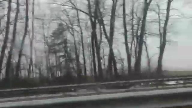 ГУСЬ 27.03.23ГОДА, ПЕРВЫЙ НАД ПОЧИНОМ