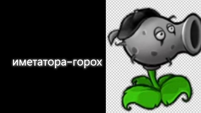 1000008389.mp4