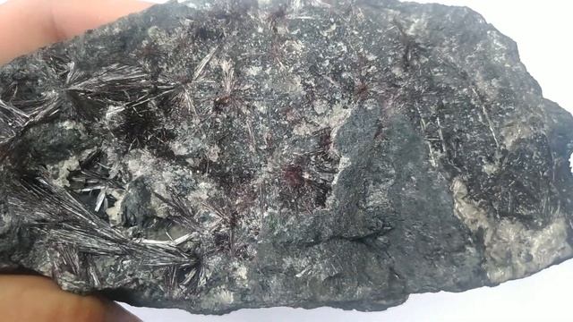 Kermezit - Slovensko, velikost: 149x72 mm, váha: 773 g