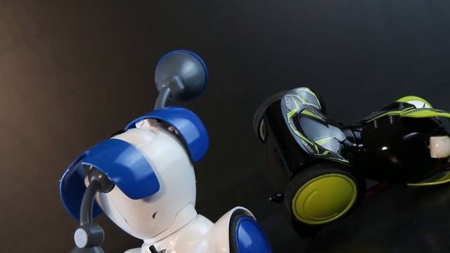 Silverlit ROBO KOMBAT