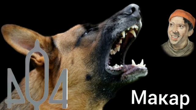 Троллинг от Макара
