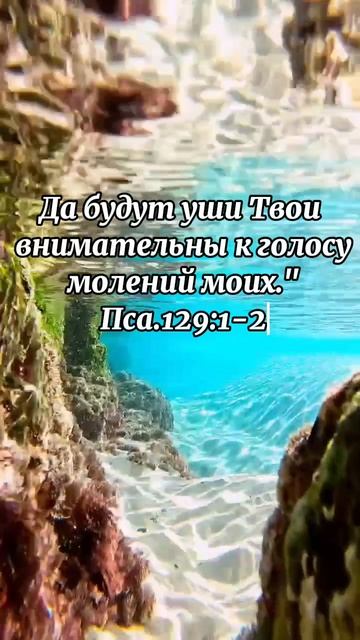 Глубина познания Христа не имеет границ...