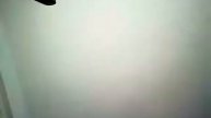 Прогулочний шарик для хомяков