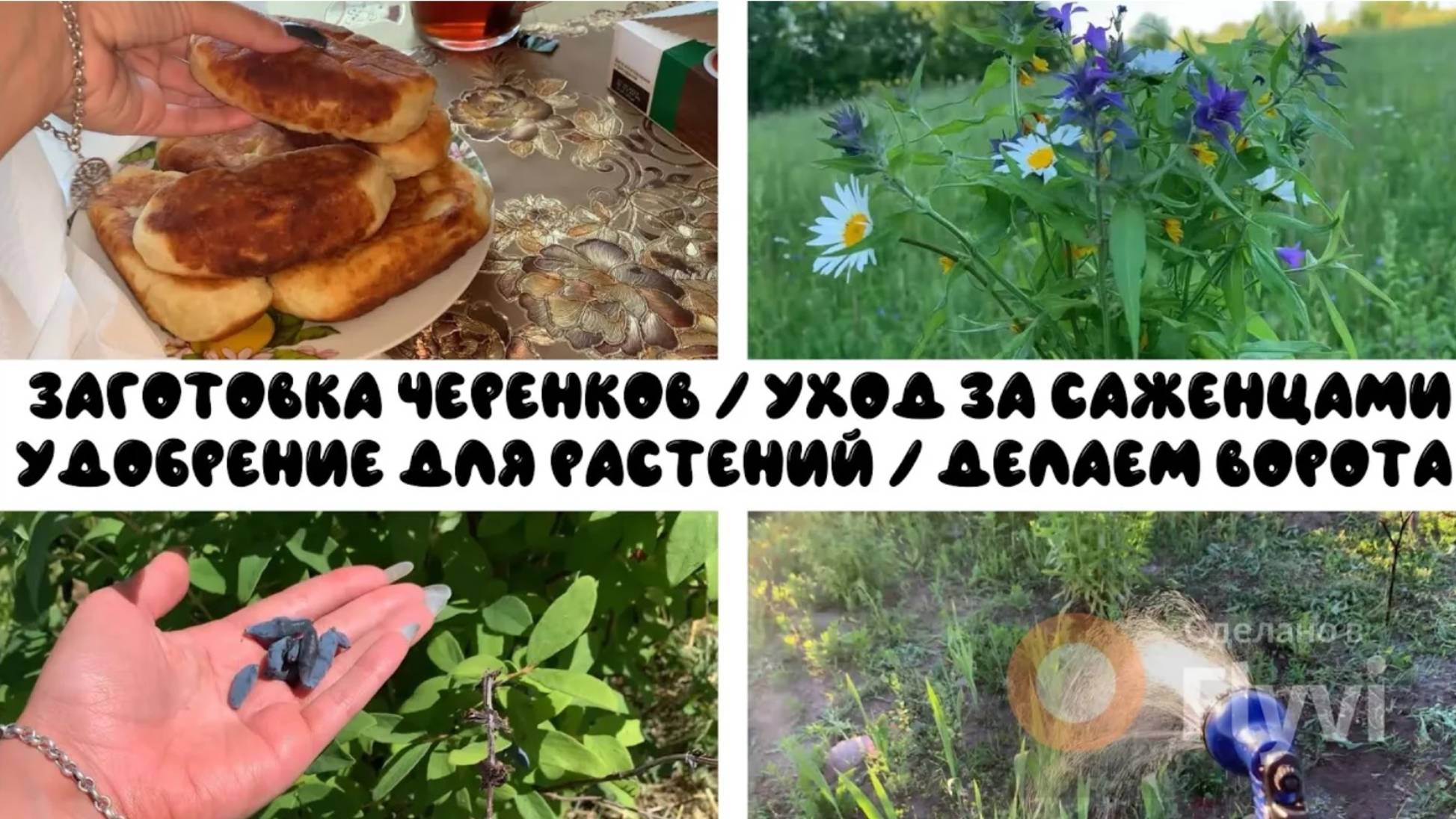 ЗАГОТОВКА ЧЕРЕНКОВ ✅ УХОД за САЖЕНЦАМИ 🔥 УДОБРЕНИЕ для РАСТЕНИЙ 🌳 ДЕЛАЕМ ВОРОТА ☝️ГУЛЯЕМ по ЛЕСУ
