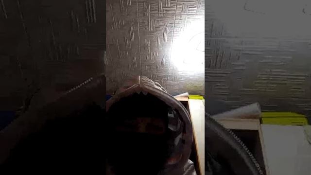 1 СТРИМ!!!