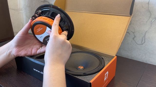 Замена штатных динамиков Ford Focus 3 на Dl Audio Raven 165 V.2