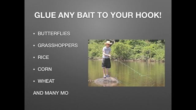 fishing bait glue video