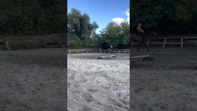 Верхом без амуниции