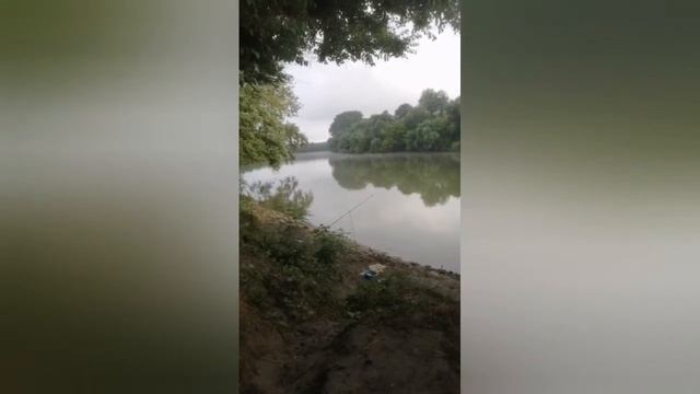 рыбалка река Кубань