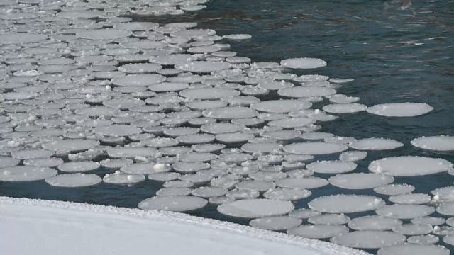 Ледяные круги