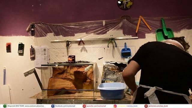 Podłoża W Terrariach Pustynnych