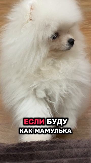 Интересно. На кого будет похож? 😂 #семья #мужжена #семейныйблог #приколы #юмор #танязамужем