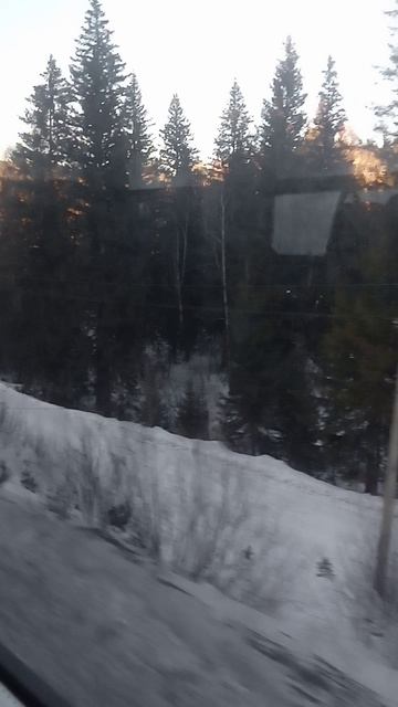 VID_20250221_162527.mp4