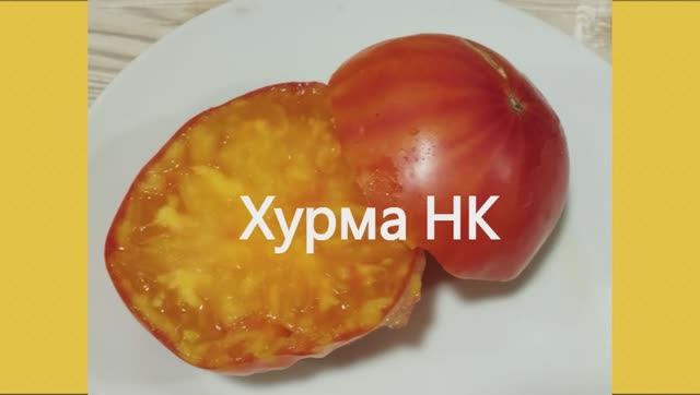 Каталог томатов 2024 г. Часть13. Проверенные сорта. г. Киров