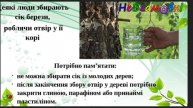 Дитина в природному довкіллі. "Пробудження дерев навесні"