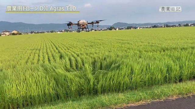 DJI AGRAS T10 稲作・大豆栽培