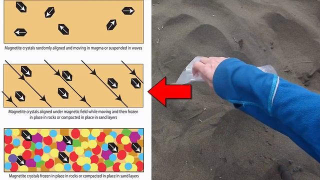Paleomagnetism: Explained with Detail concepts.