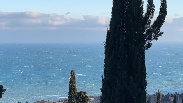 Ялта. Всякое разное- зимой. Зарисовка о любимом городе. 01/02.2025. Крым. Crimea. Yalta.