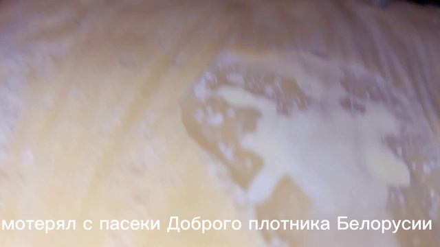 ф.40.как всё происходит на пасеки на 22.02.2025.г.