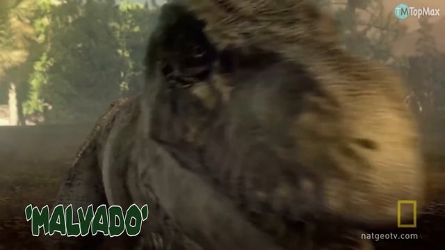 TOP 10 DINOSAURIOS CARNIVOROS MÁS GRANDES