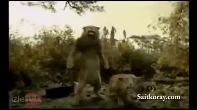 Хаха, очень смешно. Тем более львица)