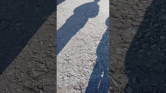 1 части на аллее детстве