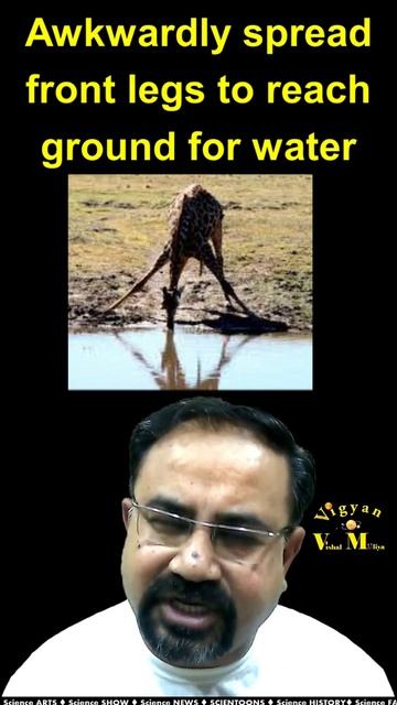 Ten interesting Facts about Giraffe  | #shorts | #vishamuliya |