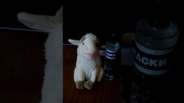 VID 20150101 094341