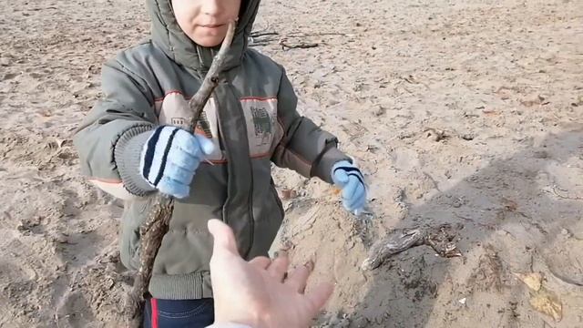 По следам начинающего гребца. С сентября по май.