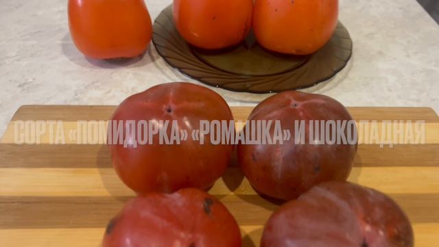 Такая разная, но такая вкусная! Хурма. Какой сорт выбрать.