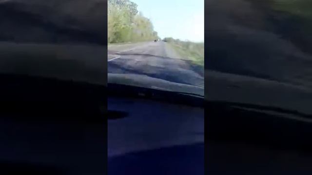 Дорога запорожье- кривой рог.как вам, министры?