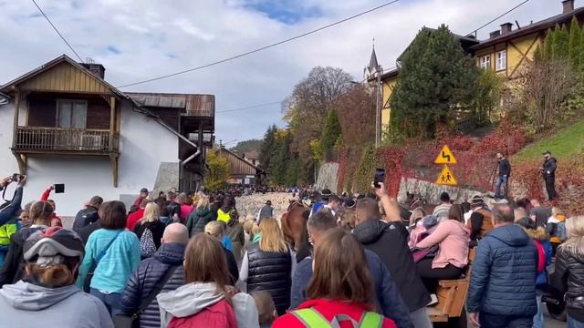 Польский празник-марш овец и пастухов  Редык l Шавница l Redyk l Szczawnica l 2022